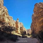 Circuit Nord Iherir Djanet - Février 2026