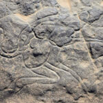 Circuit Nord Iherir Djanet - Février 2026