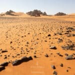 Circuit Sud Tadrart Rouge Djanet - Avril 2026 - Terres Touareg