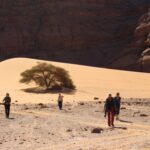 Circuit Sud Tadrart Rouge - Djanet - Terres Touareg