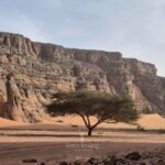 Circuit Sud Tadrart Rouge Djanet - Terres Touareg - Février 2026