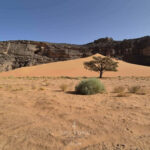 Circuit Sud Tadrart Rouge Djanet - Terres Touareg - Février 2026