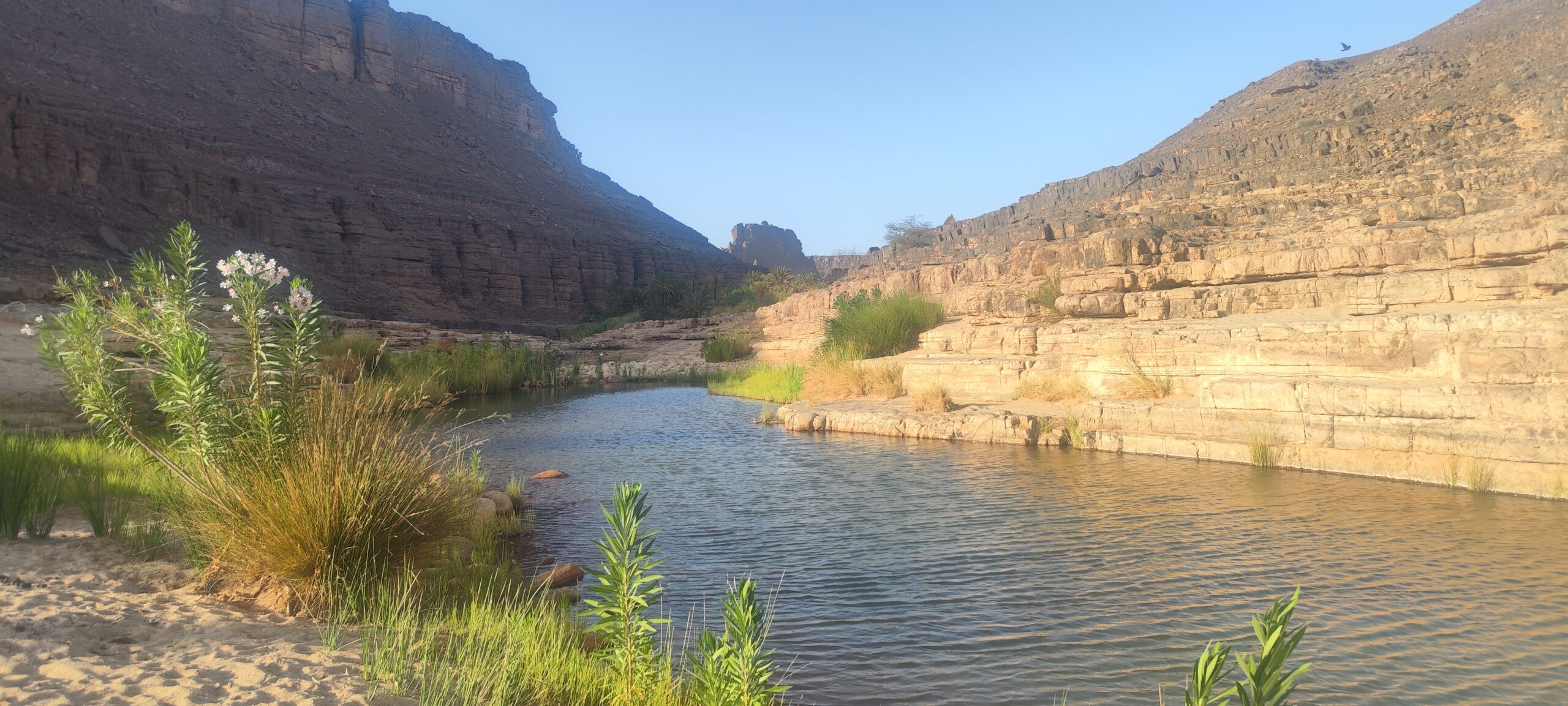 eau dans oued essendilene sahara algérie