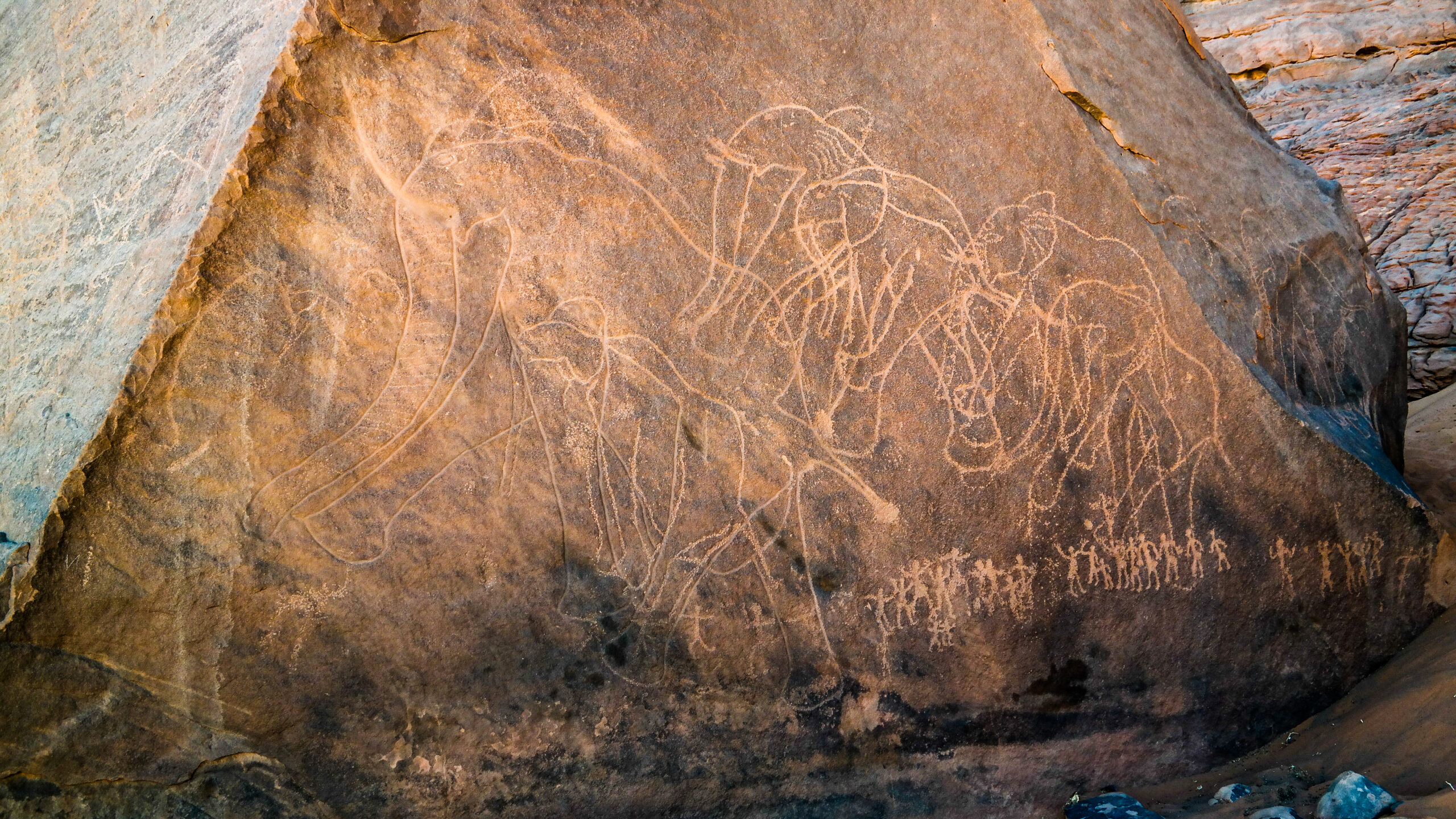 Art rupestre éléphants Tassili n'ajjer