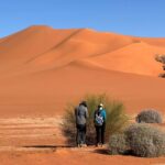 Circuit Djanet Sud Tadrart Rouge - Janvier 2026 - Terres Touareg