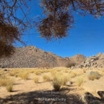 Circuit Nord Iherir Djanet - Février 2026