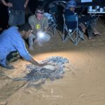 Circuit Sud Tadrart Rouge - Djanet - Terres Touareg