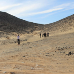 Circuit Nouvel an 2026 -Djanet Terres Touareg