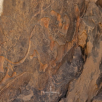 Circuit Nouvel an 2026 -Djanet Terres Touareg