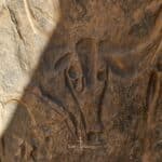 Circuit Nouvel an 2026 -Djanet Terres-Touareg