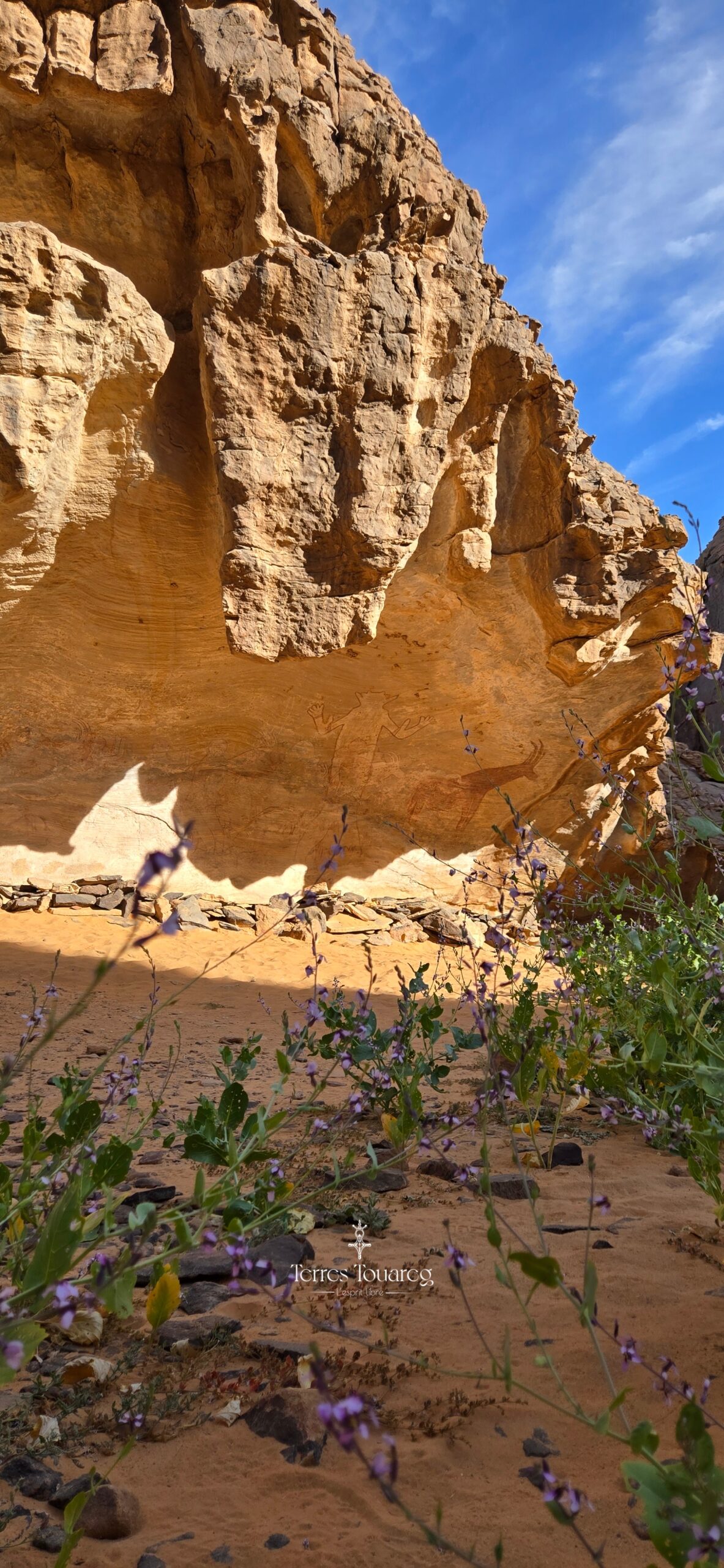 SEFAR, Plateau du Tassili n'Ajjer, Sahara algérien