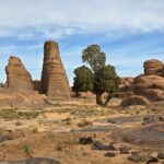 SEFAR, Plateau du Tassili n'Ajjer, Sahara algérien