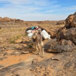 SEFAR, Plateau du Tassili n'Ajjer, Sahara algérien