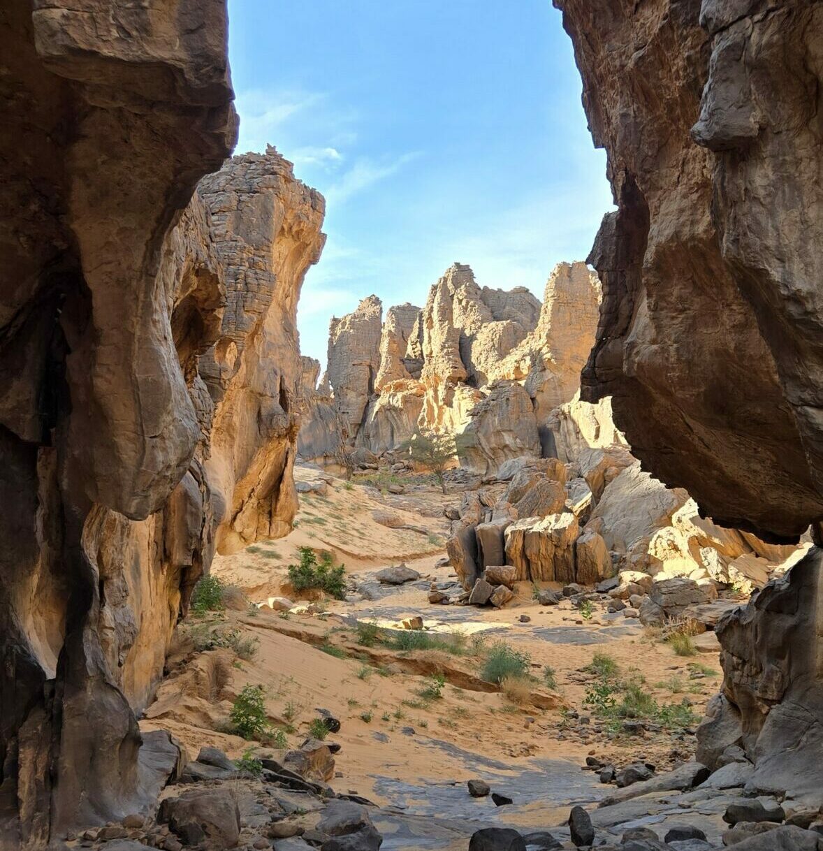 SEFAR, Plateau du Tassili n'Ajjer, Sahara algérien