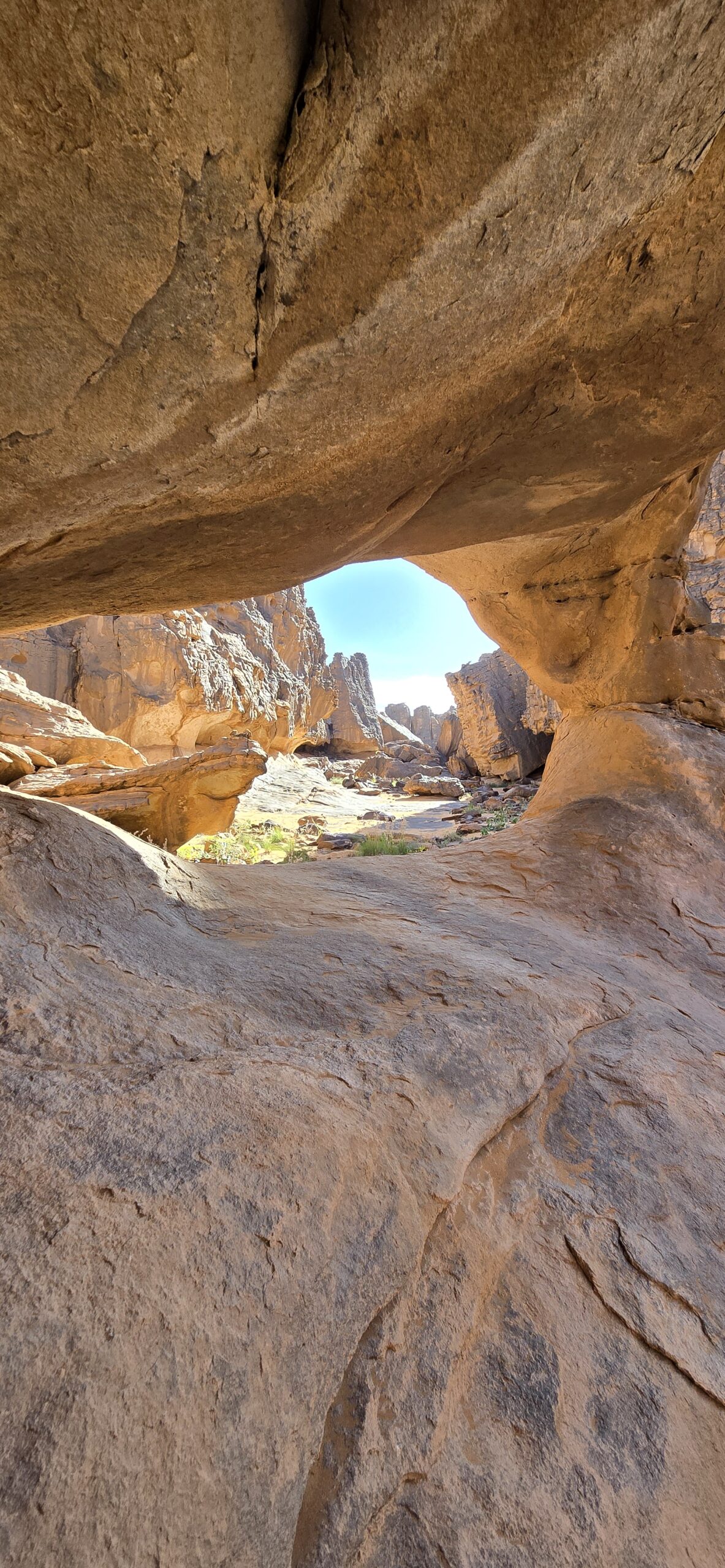 SEFAR, Plateau du Tassili n'Ajjer, Sahara algérien