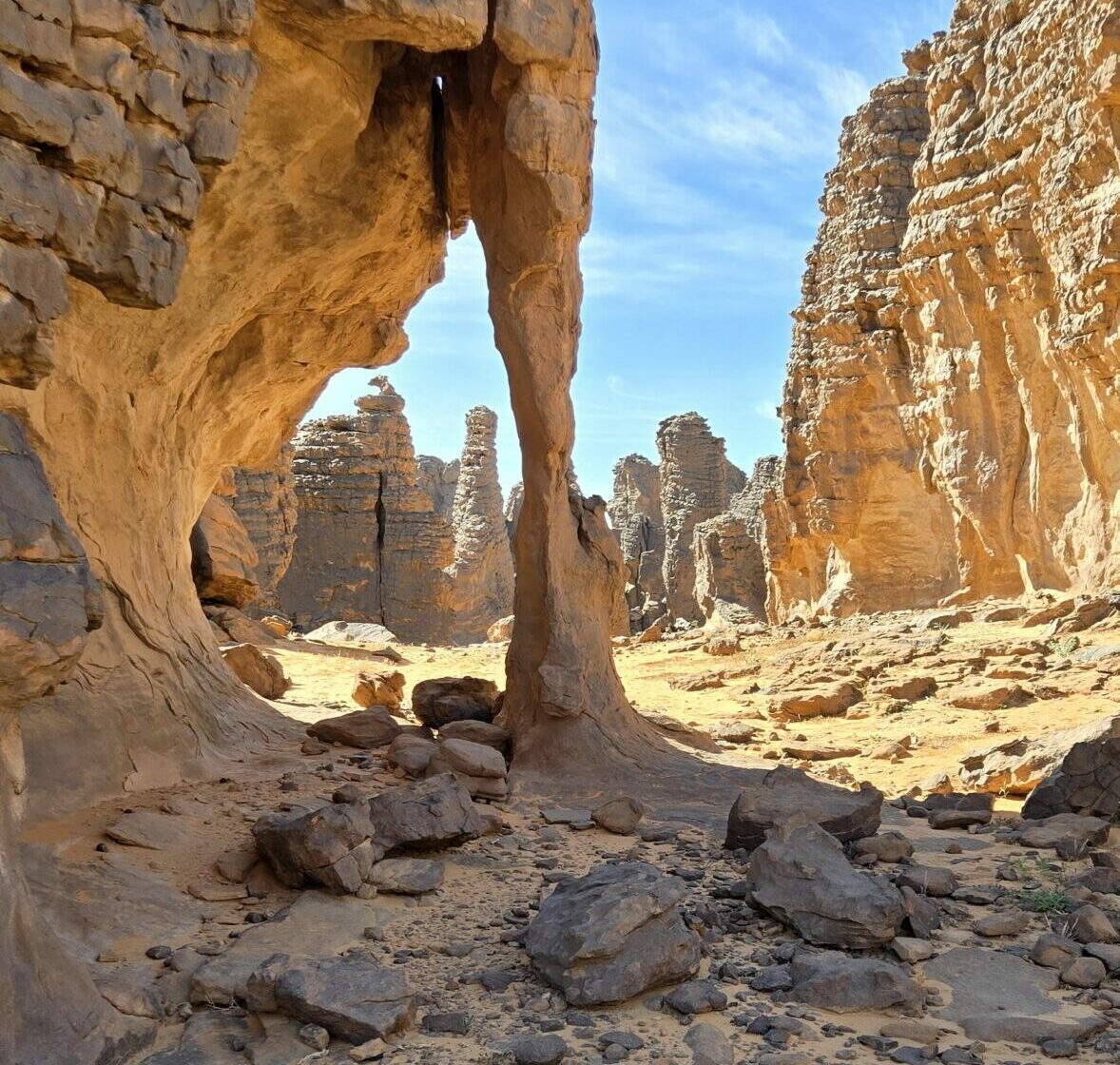 SEFAR, Plateau du Tassili n'Ajjer, Sahara algérien