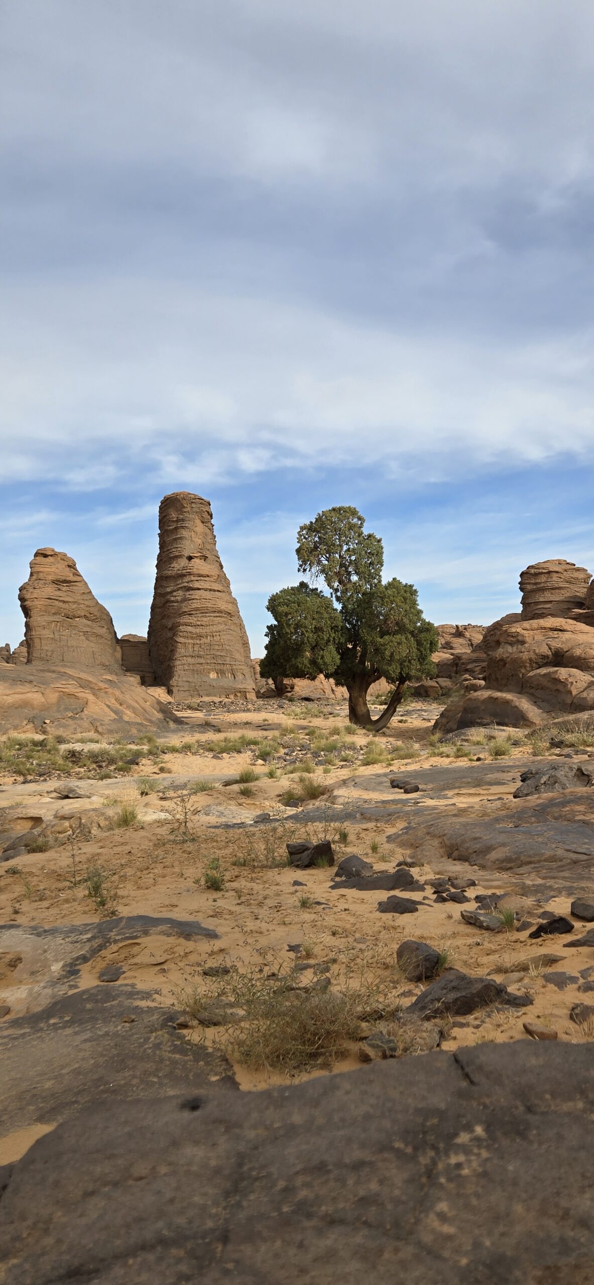 SEFAR, Plateau du Tassili n'Ajjer, Sahara algérien
