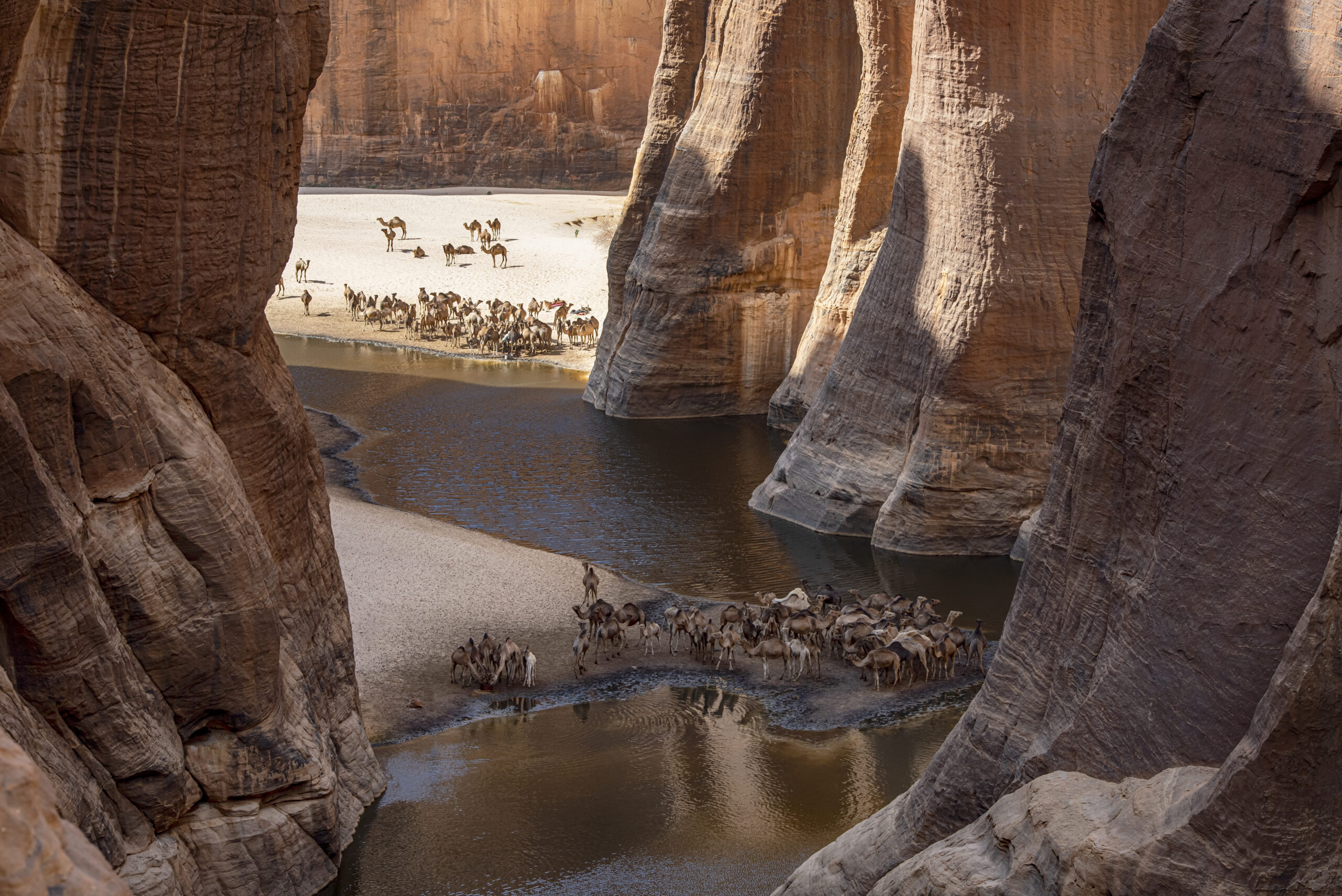 guelta