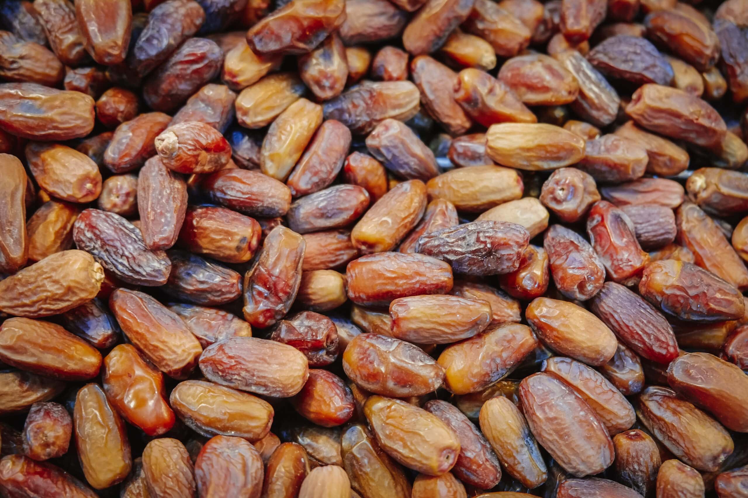 alimentation traditionnelle des Touareg
