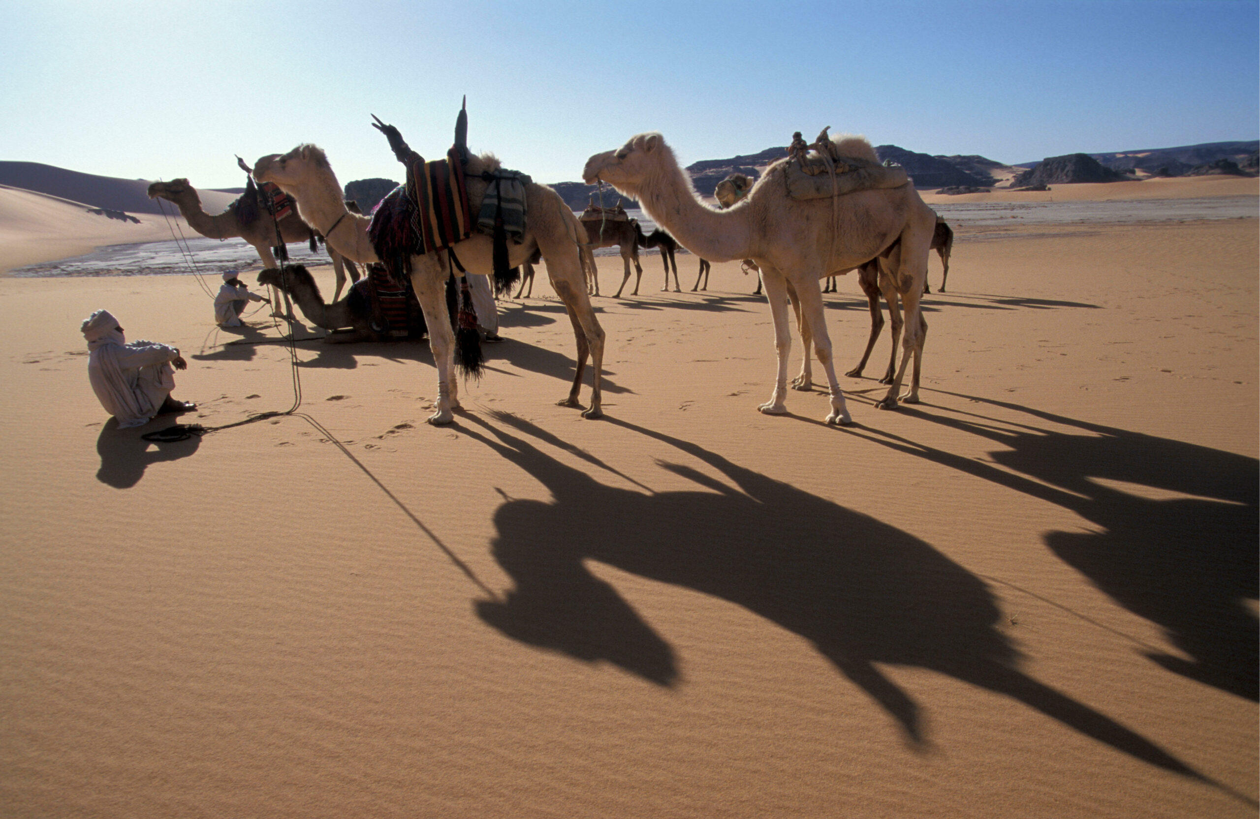 commerce caravanier touareg